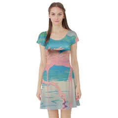 Two Pink Flamingos Pop Art Short Sleeve Skater Dress by WaltCurleeArt