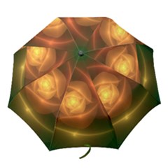 Orange Rose Folding Umbrellas by Delasel