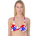 The Patriot 2 Reversible Tri Bikini Top View1