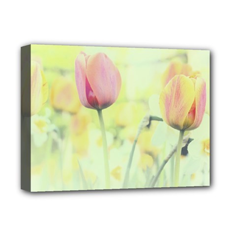 Softness Of Spring Deluxe Canvas 16  X 12   by TastefulDesigns