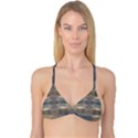 Wildlife Brown Black Reversible Tri Bikini Top View1