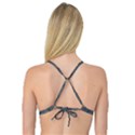 Wildlife Brown Black Reversible Tri Bikini Top View4