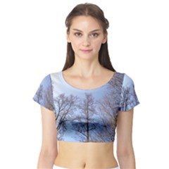 Natural Brown Blue, Large Trees In Sky Short Sleeve Crop Top (tight Fit) by yoursparklingshop