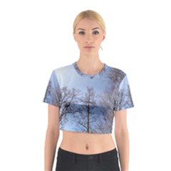 Natural Brown Blue, Large Trees In Sky Cotton Crop Top by yoursparklingshop