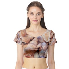 Exotic Tropical Romantic Sea Shells Short Sleeve Crop Top (tight Fit) by yoursparklingshop