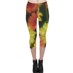 Orange Yellow Flowers Capri Leggings 