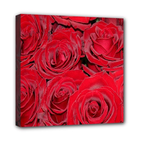 Red Roses Love Mini Canvas 8  X 8  by yoursparklingshop