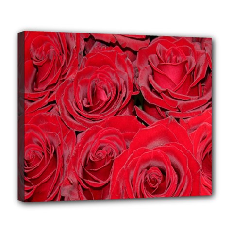 Red Roses Love Deluxe Canvas 24  X 20   by yoursparklingshop