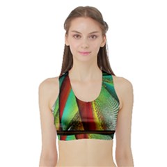 Stained Glass Window Women s Sports Bra With Border by SugaPlumsEmporium