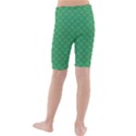 PJ Masks Gekko Kid s Mid Length Swim Shorts View2