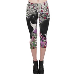 Freckles In Flowers Ii, Black White Tux Cat Capri Leggings  by DianeClancy