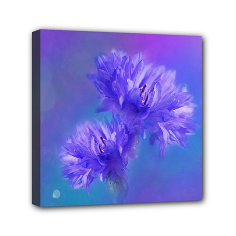 Flowers Cornflower Floral Chic Stylish Purple  Mini Canvas 6  X 6  by yoursparklingshop