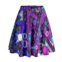 Hipster Bubbes High Waist Skirt View1