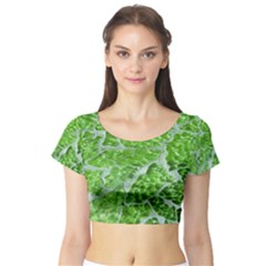 Festive Chic Green Glitter Shiny Glamour Sparkles Short Sleeve Crop Top (tight Fit) by yoursparklingshop