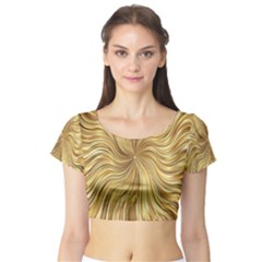 Chic Festive Elegant Gold Stripes Short Sleeve Crop Top (tight Fit) by yoursparklingshop