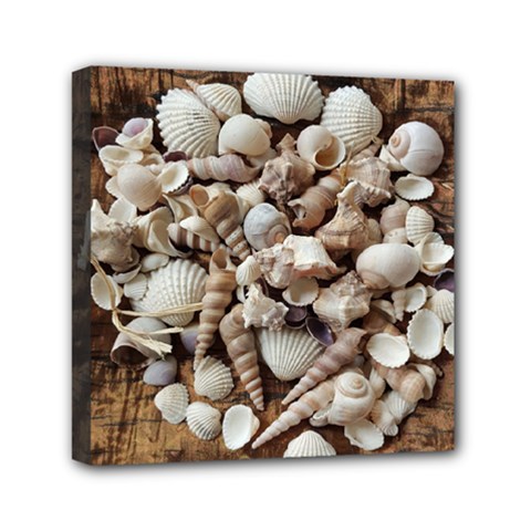 Tropical Sea Shells Collection, Copper Background Mini Canvas 6  X 6  by yoursparklingshop