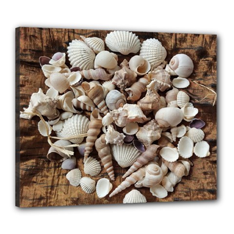 Tropical Sea Shells Collection, Copper Background Canvas 24  X 20  by yoursparklingshop