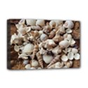 Tropical Sea Shells Collection, Copper Background Deluxe Canvas 18  x 12   View1