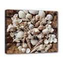 Tropical Sea Shells Collection, Copper Background Deluxe Canvas 20  x 16   View1