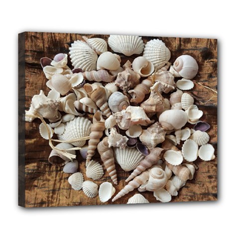 Tropical Sea Shells Collection, Copper Background Deluxe Canvas 24  X 20   by yoursparklingshop