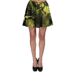 Amazing Fractal 24 Skater Skirt by Fractalworld