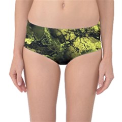 Amazing Fractal 24 Mid-waist Bikini Bottoms by Fractalworld