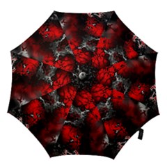 Amazing Fractal 25 Hook Handle Umbrellas (large) by Fractalworld