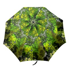 Amazing Fractal 27 Folding Umbrellas by Fractalworld