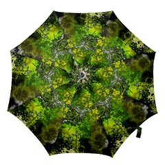 Amazing Fractal 27 Hook Handle Umbrellas (large) by Fractalworld