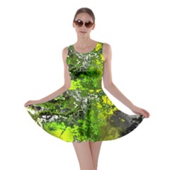 Amazing Fractal 27 Skater Dress by Fractalworld