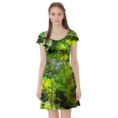 Amazing Fractal 27 Short Sleeve Skater Dress by Fractalworld