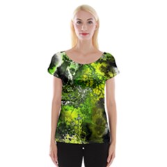 Amazing Fractal 27 Women s Cap Sleeve Top by Fractalworld