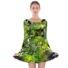 Amazing Fractal 27 Long Sleeve Skater Dress by Fractalworld