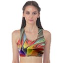 Fractal Bird of Paradise Sports Bra View1