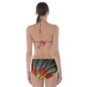 Fractal Bird of Paradise Cut-Out One Piece Swimsuit View2