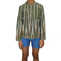 Green Brown Zigzag Kid s Long Sleeve Swimwear