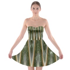 Green Brown Zigzag Strapless Dresses