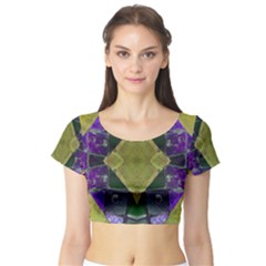 Purple Yellow Stone Abstract Short Sleeve Crop Top (tight Fit)