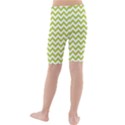 Spring Green & White Zigzag Pattern Kid s Mid Length Swim Shorts View2