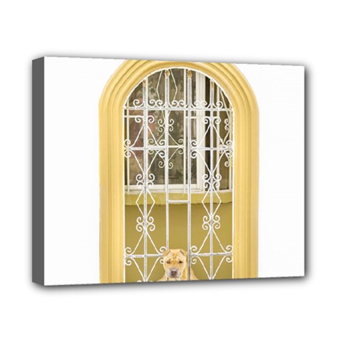 Dog Watching Through Windows House Canvas 10  X 8  by dflcprints