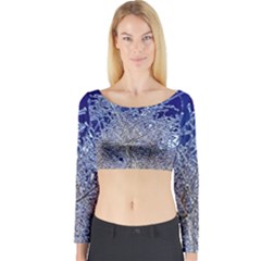 Crystalline Branches Long Sleeve Crop Top