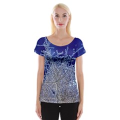 Crystalline Branches Women s Cap Sleeve Top