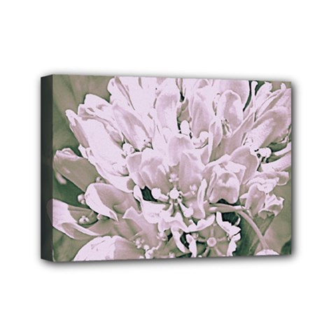 White Flower Mini Canvas 7  X 5 