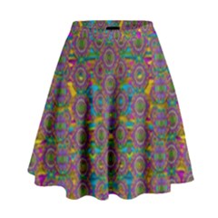 Peacock Eyes In A Contemplative Style High Waist Skirt