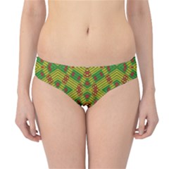 Flash Hipster Bikini Bottoms by MRTACPANS