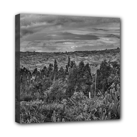 Ecuador Landscape Scene At Andes Range Mini Canvas 8  X 8  by dflcprints