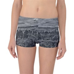 Black And White Landscape Scene Reversible Boyleg Bikini Bottoms