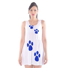 Blue Paws Scoop Neck Skater Dress