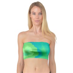 Paradise  Bandeau Top