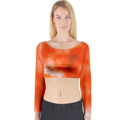 Orange Essence  Long Sleeve Crop Top